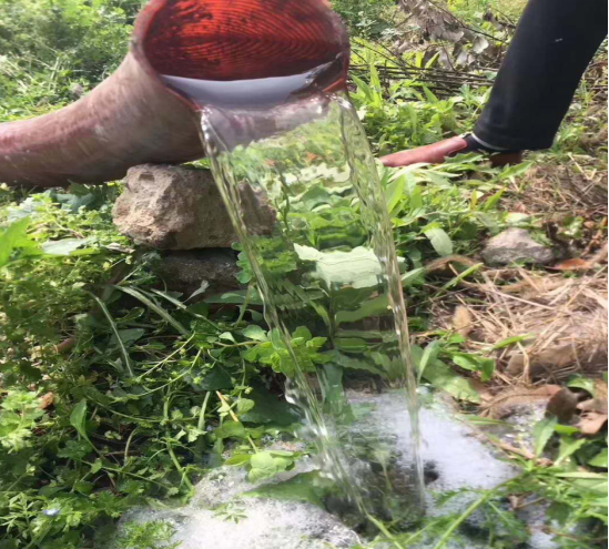 东风小多利卡吸污净化车蓝牌